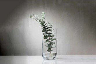 Nude Glass Transparent Blade Vase